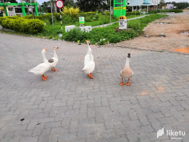 clmrcfozh034c5nszct45hhx5_IMG_20230913_181723.webp