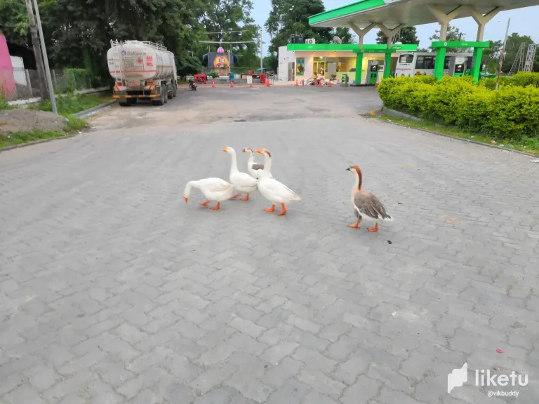 clmrcg4lh032q7xszcg0rbyaz_IMG_20230913_181736.webp