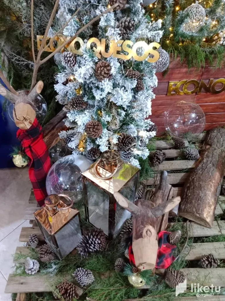 clpwykq35004bcqsz1bdc6yby_WhatsApp_Image_2023-12-08_at_14.09.34.webp