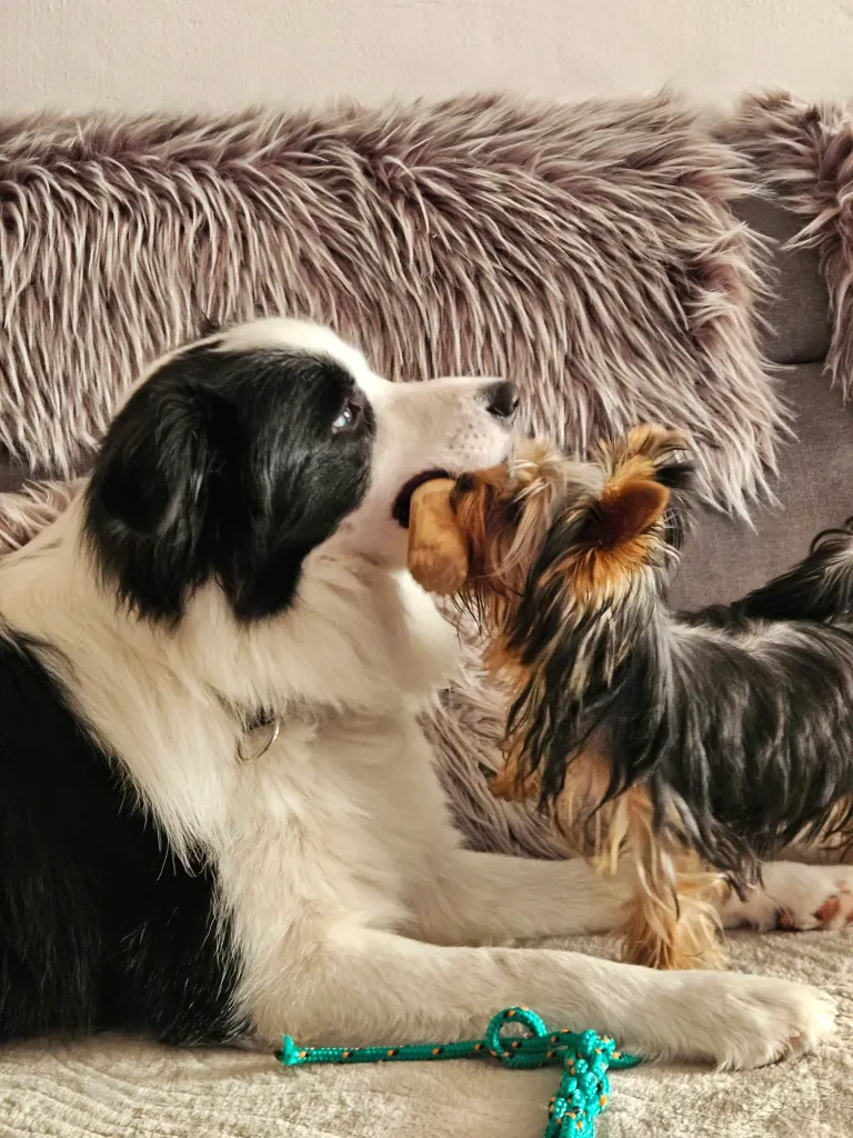 skaciK9YsnTWuUja_1000043560.webp