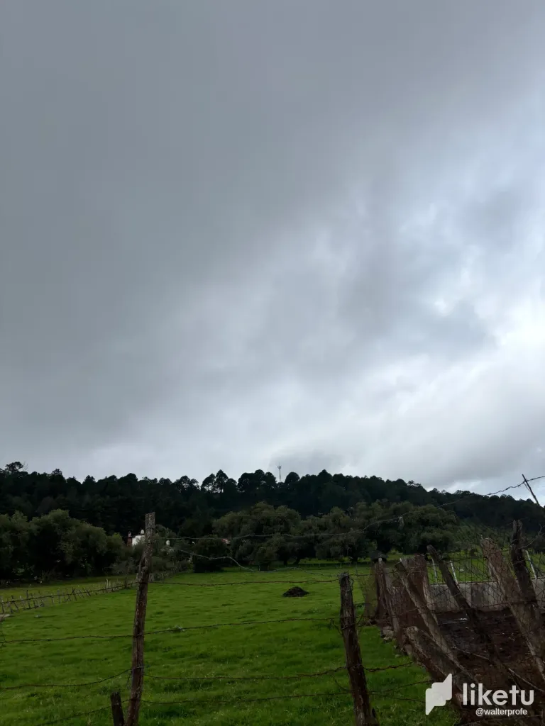 4LXf5TqVedcAOsFn_IMG_7831.webp