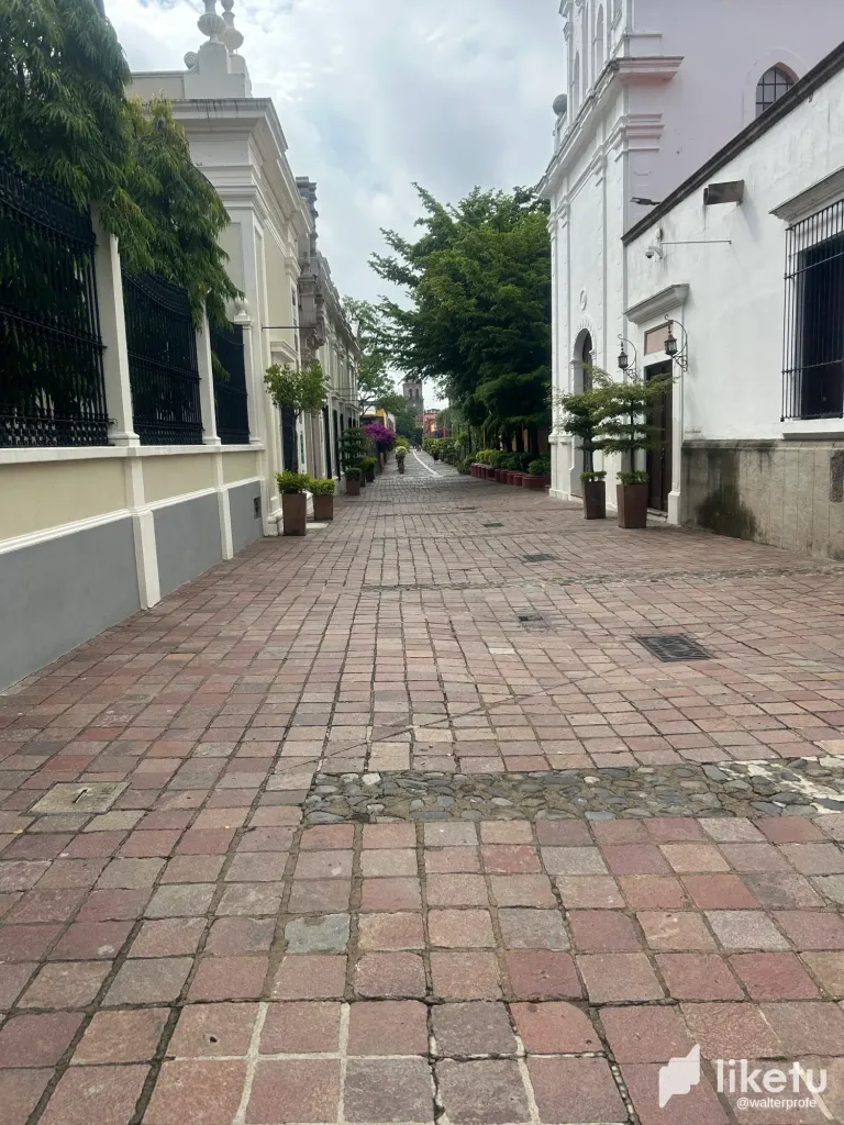 Hmgja5PnMU9pPWgJ_IMG_2050.webp