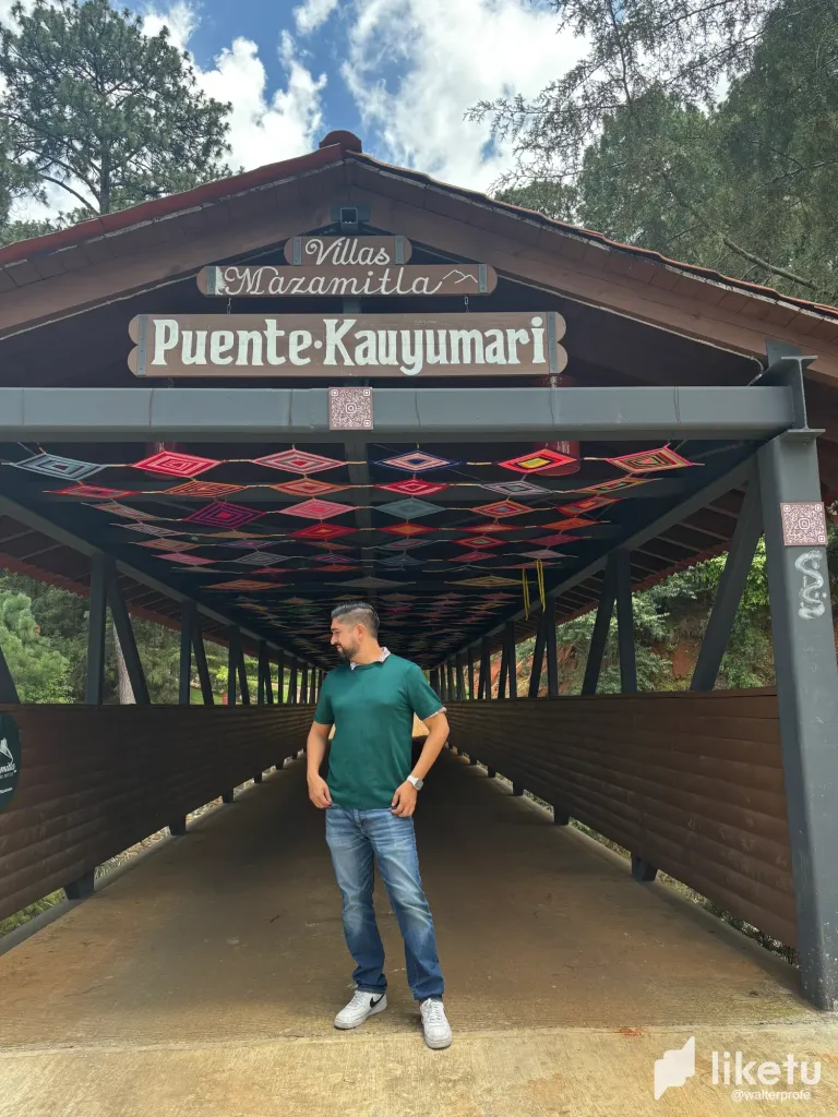 🌉 The Bridge of Wishes: A Path Through Dreams / El Puente de los Deseos: Un Camino Entre Sueños ✨🌲