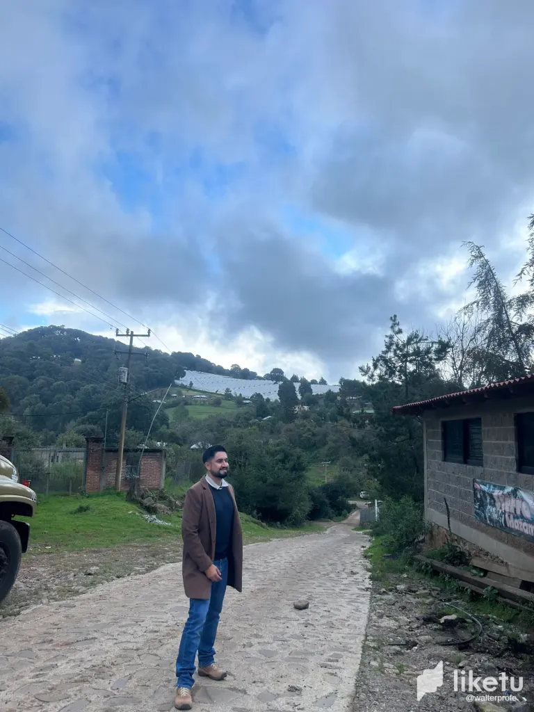 🌲 From the Village to the Valley: Forest Horizons / Del Pueblo al Valle: Horizontes de Bosque 🏡🌄