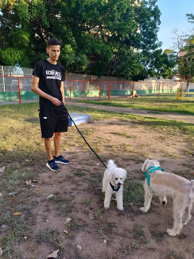DqluVrVCKTCFeDTI_1000617296.webp