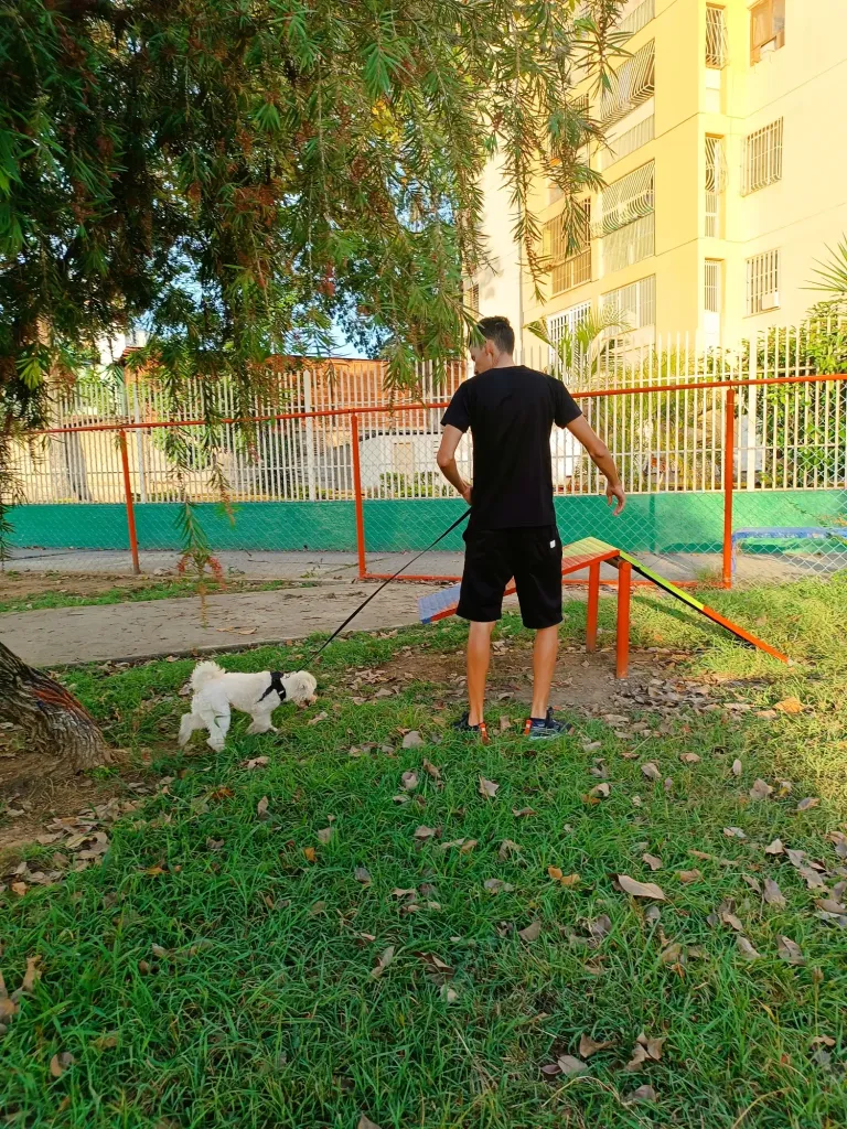 VZWCp7rtMfoGDihB_1000617295.webp