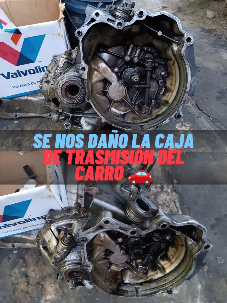 zQeTh1kTLD835X47_1000306062.webp