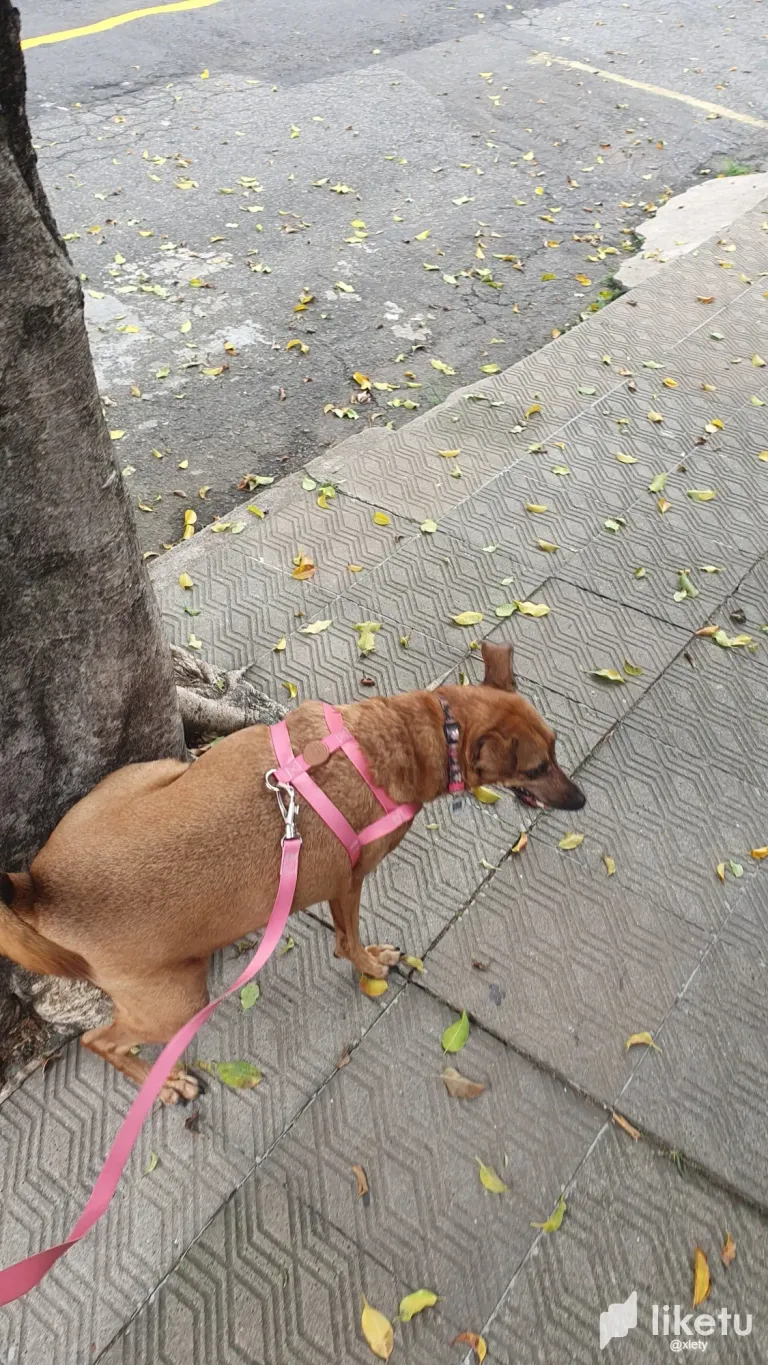 CVeMh8r00vRZYbs1_IMG-20250422-WA0175.webp