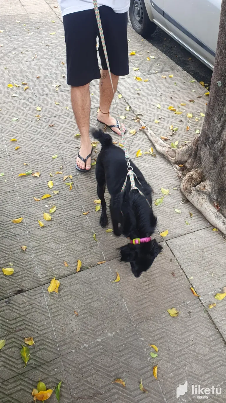 FeznGPVDVM1gIqrl_IMG-20250422-WA0170.webp