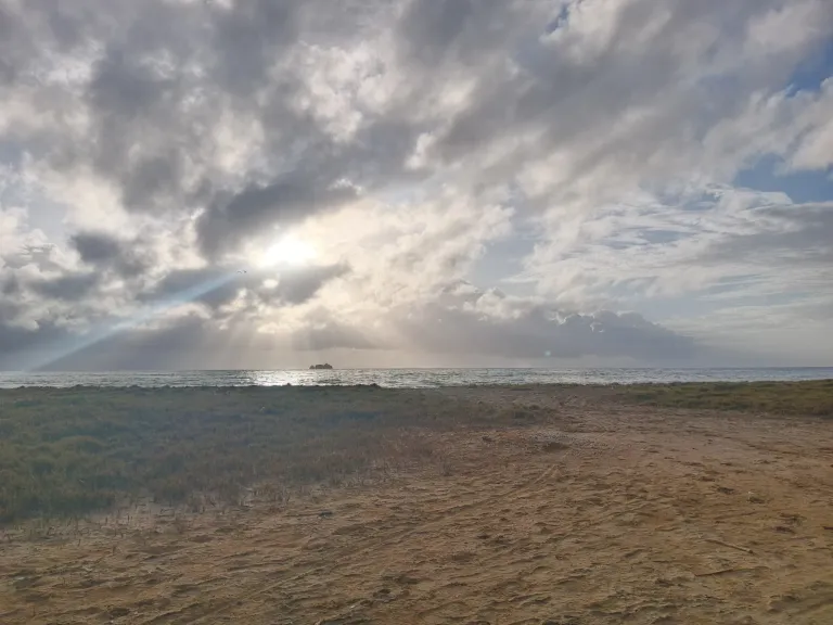 j2odxbJ9xOOIbfwX_1000474766.webp