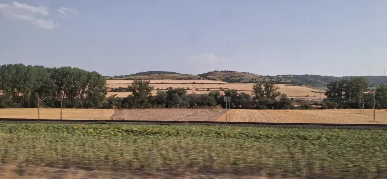 dqklhZyfklHMzkZ9_1000045869.webp