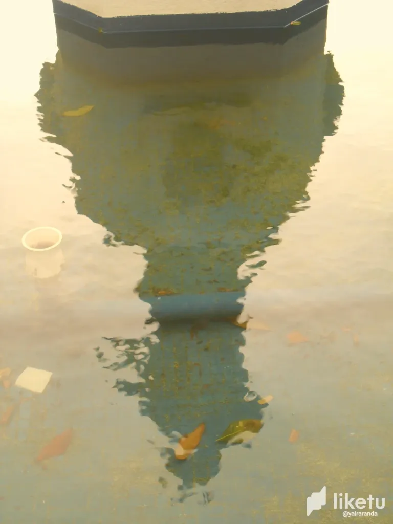 clmgycvmf0262ajszega4f1qz_SAM_1638.webp