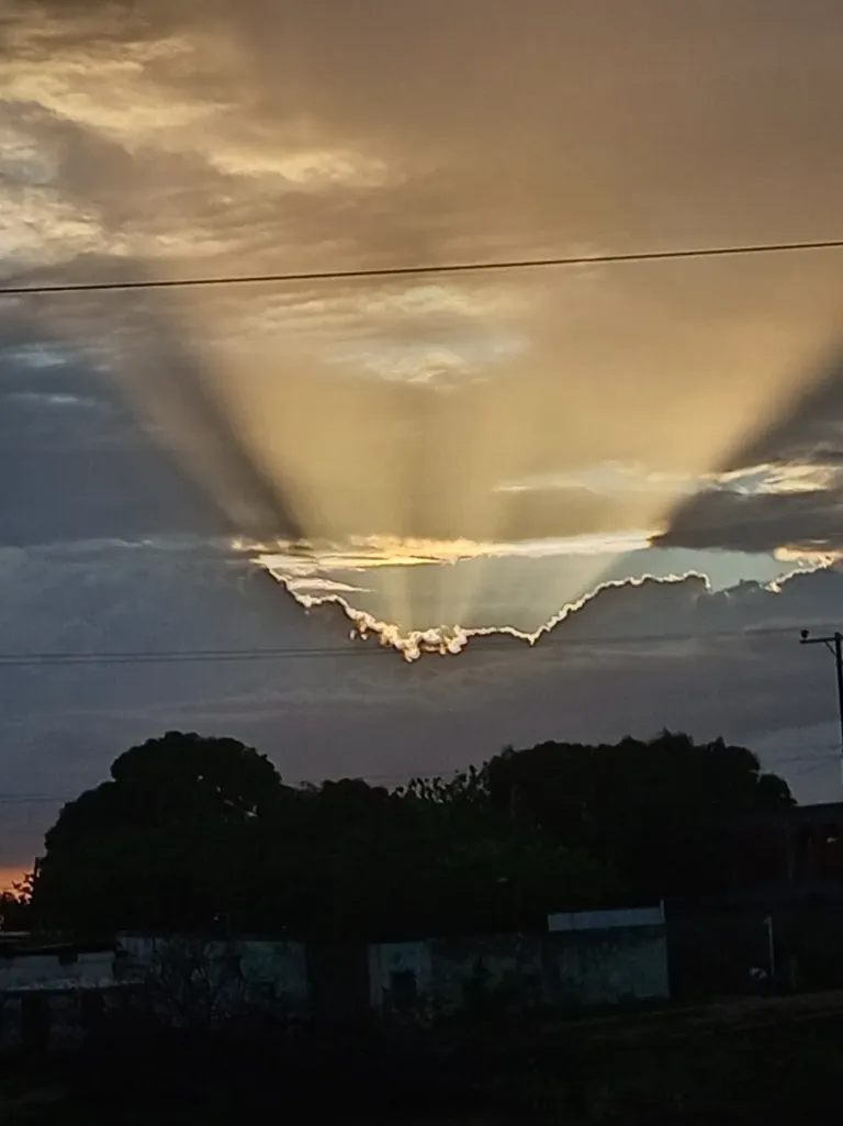 ctbWX1k2yRIcUIrp_1000005841.webp