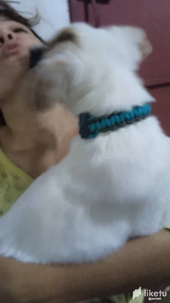 gXbACe8g88JEQdjR_WhatsApp_Image_2024-07-08_at_10.51.48_AM_1.webp