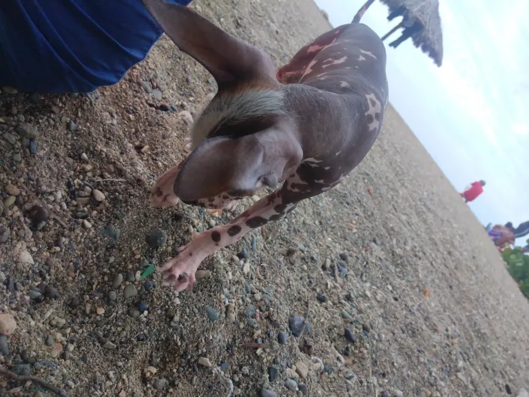 5slsJFnouXXs2eFo_IMG_20250415_092151.webp