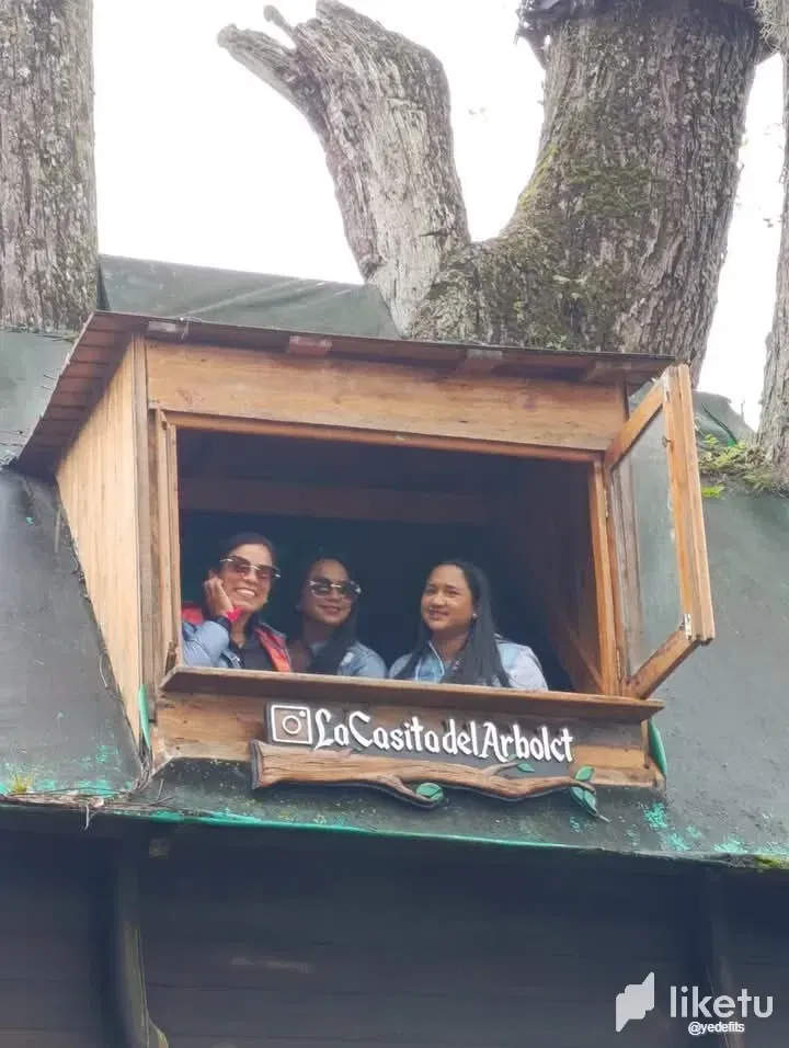 rOoJMtHRWKlvNJwf_photo_3_2025-01-25_08-52-38.webp
