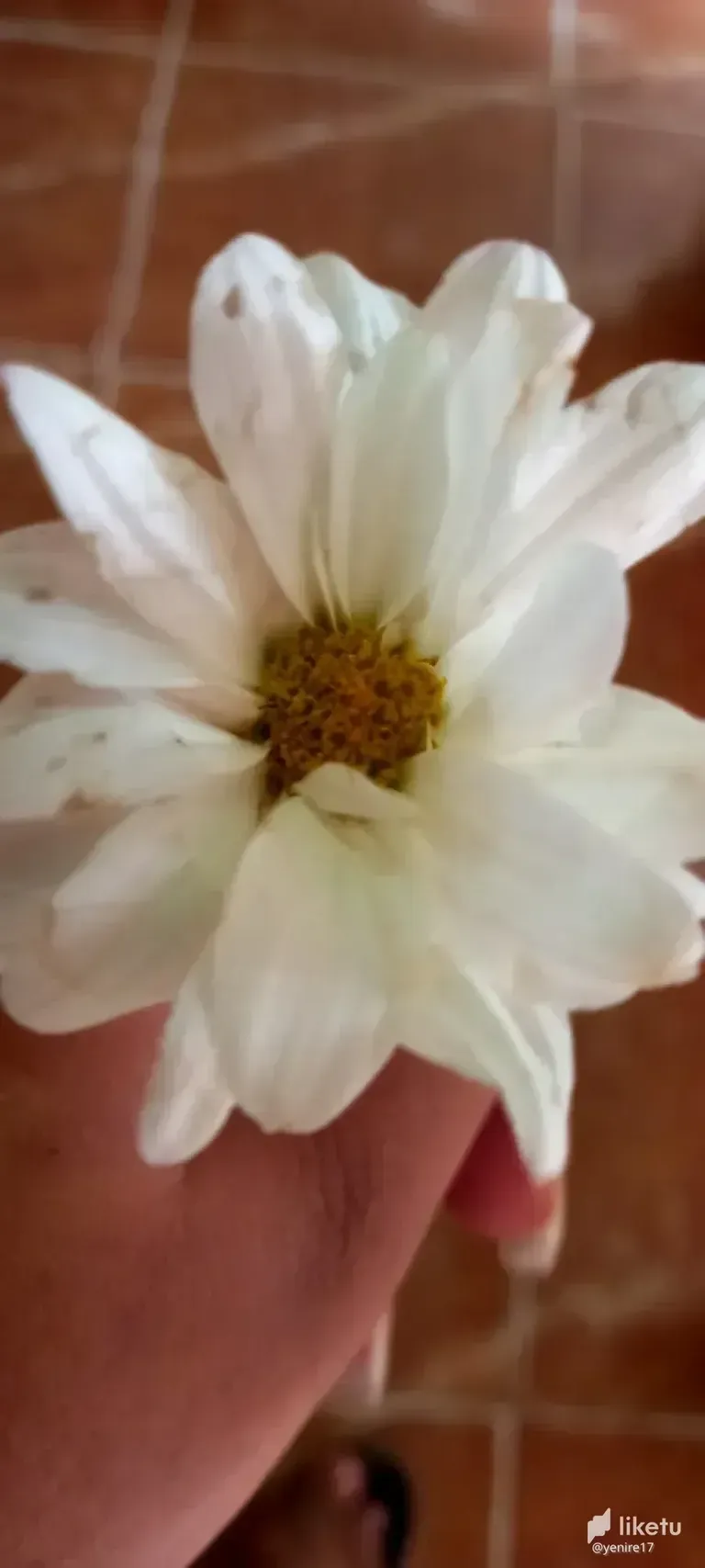 cl8i3d4zh01n924kc4s6qhzdq_20210511_084004.webp