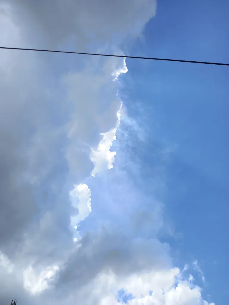 cl8mi1gh7028t1ckc2hms47ir_20220928_125517.webp