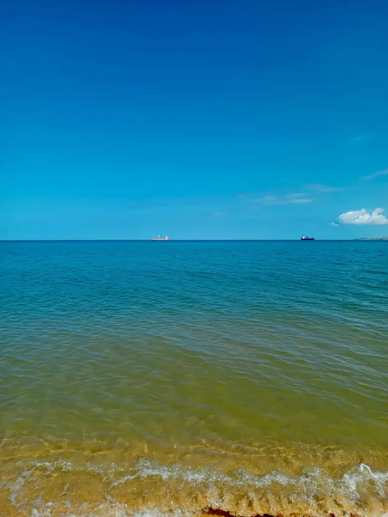 2F28JiWhKavpT28M_1000052808.webp