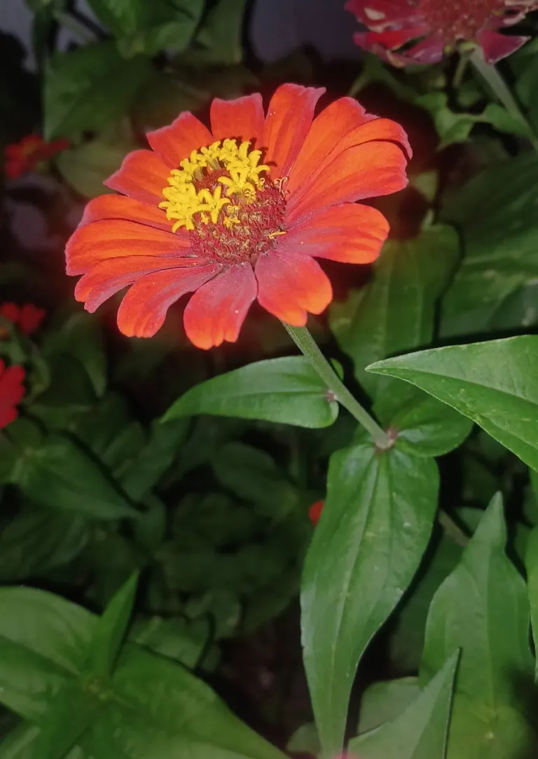 YZdBezNaTKqJthwD_20250614_223050.webp