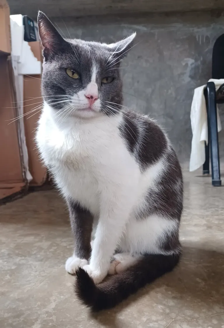 twDw9Cxn4GCwYcXd_20250817_170519.webp