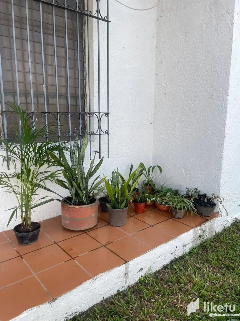 clt3985aa0015dgsz5xqs1ntp_photo_2024-02-26_13-59-04.webp