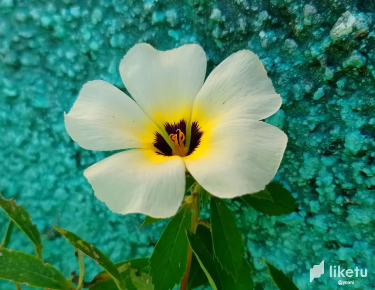 clr0wsp7v007v3esz3blp9mi2_05.webp