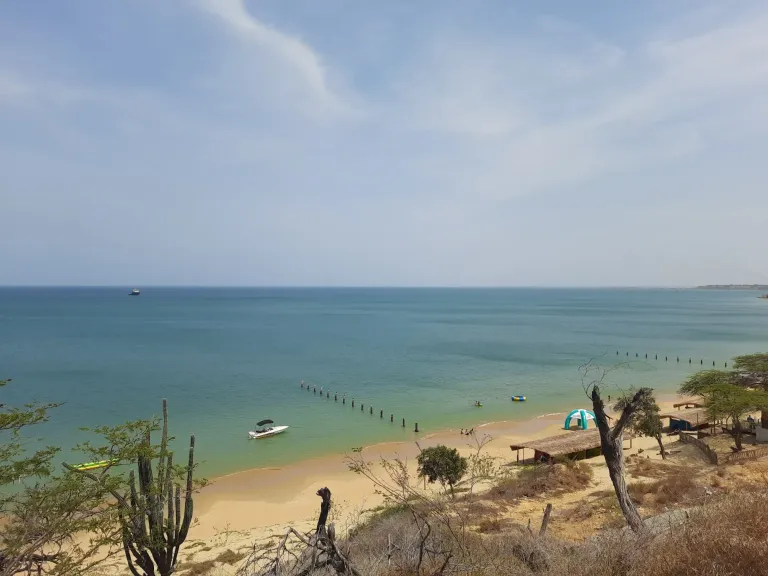 TKOllIMuWxgUWkXA_20240407_110209.webp