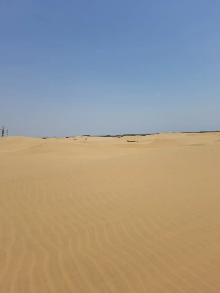 okwfklvx60EVmSFQ_20240408_111520.webp