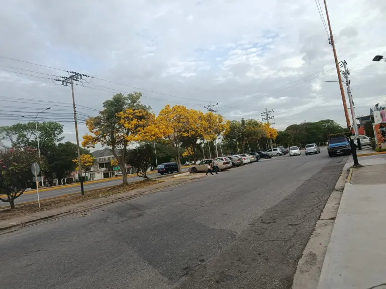 GM6vQkiW4sV7r2Rt_1000114369.webp