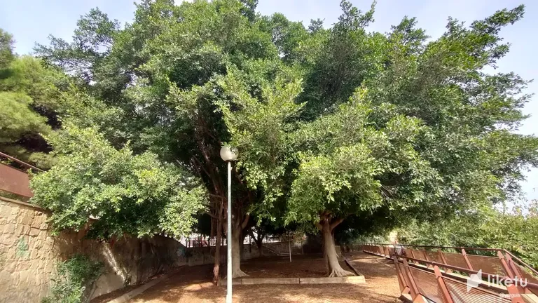 clak3uqxr039d1hmj2xbm74lk_MT_1.webp