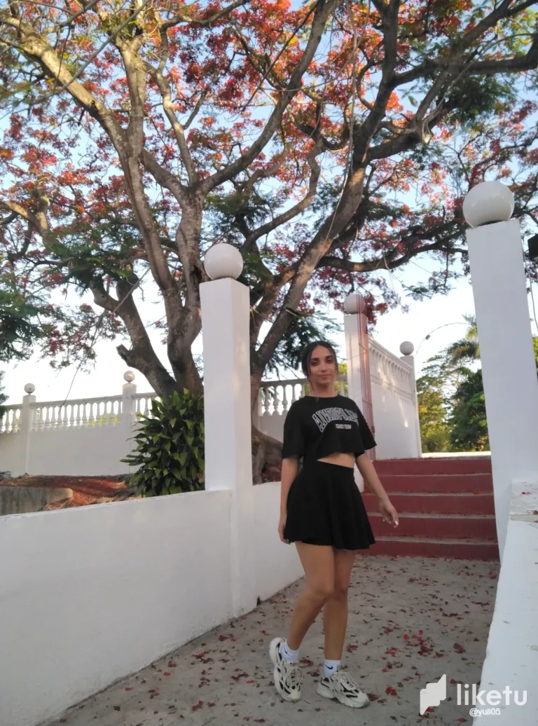 3j5poeIuZU8WpE6V_1749561695502.webp