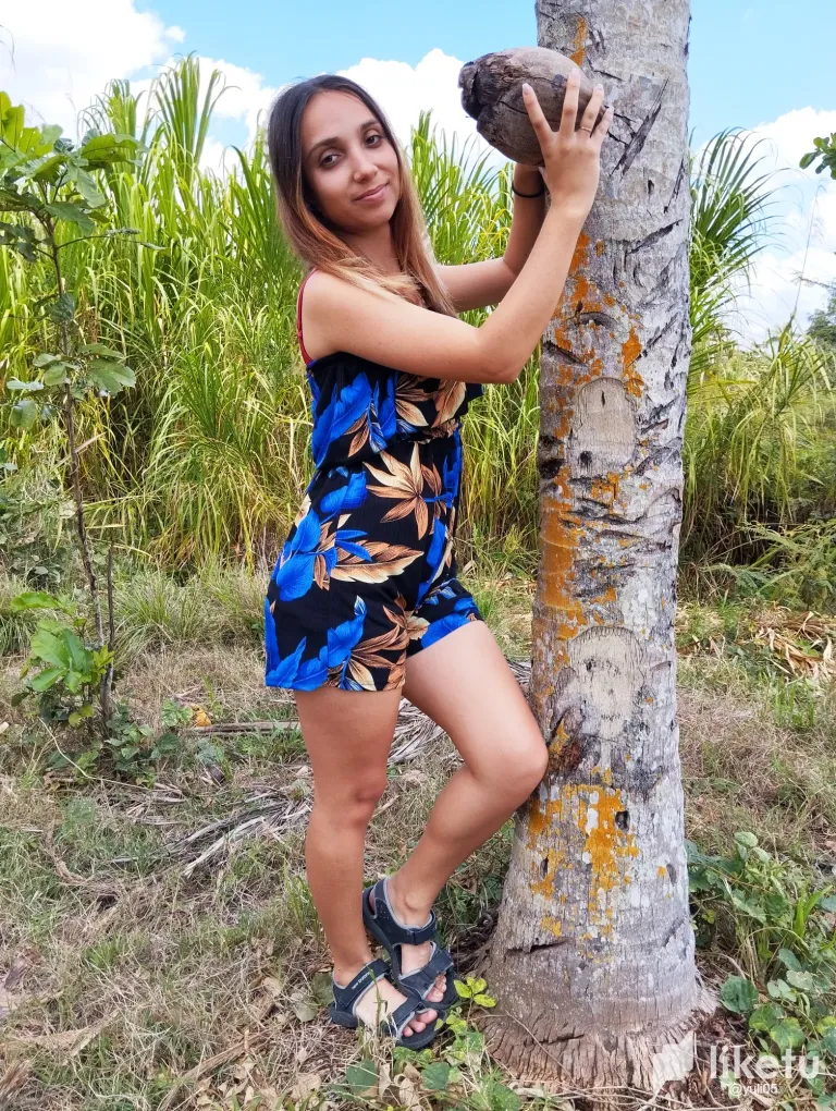 RGV064LtNTbCZt8p_01.webp