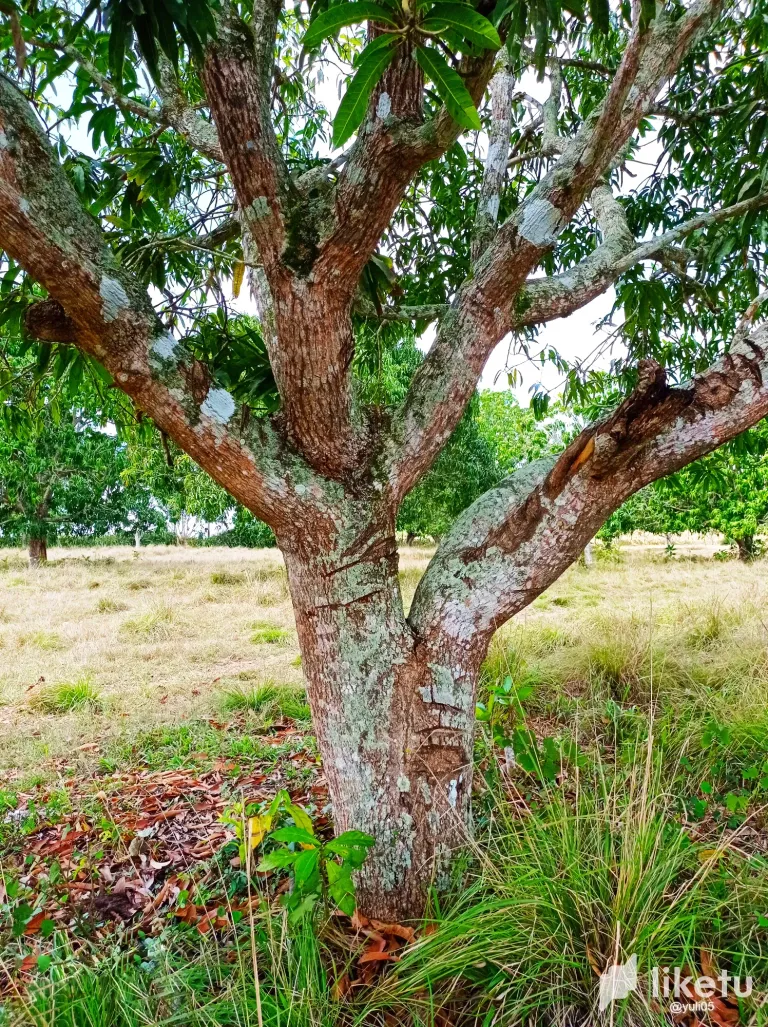igVU9CDI6S30vLBw_04.webp