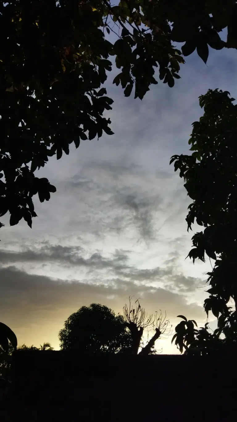 1EsADTR7rE4lnY7v_IMG_20250823_180435.webp