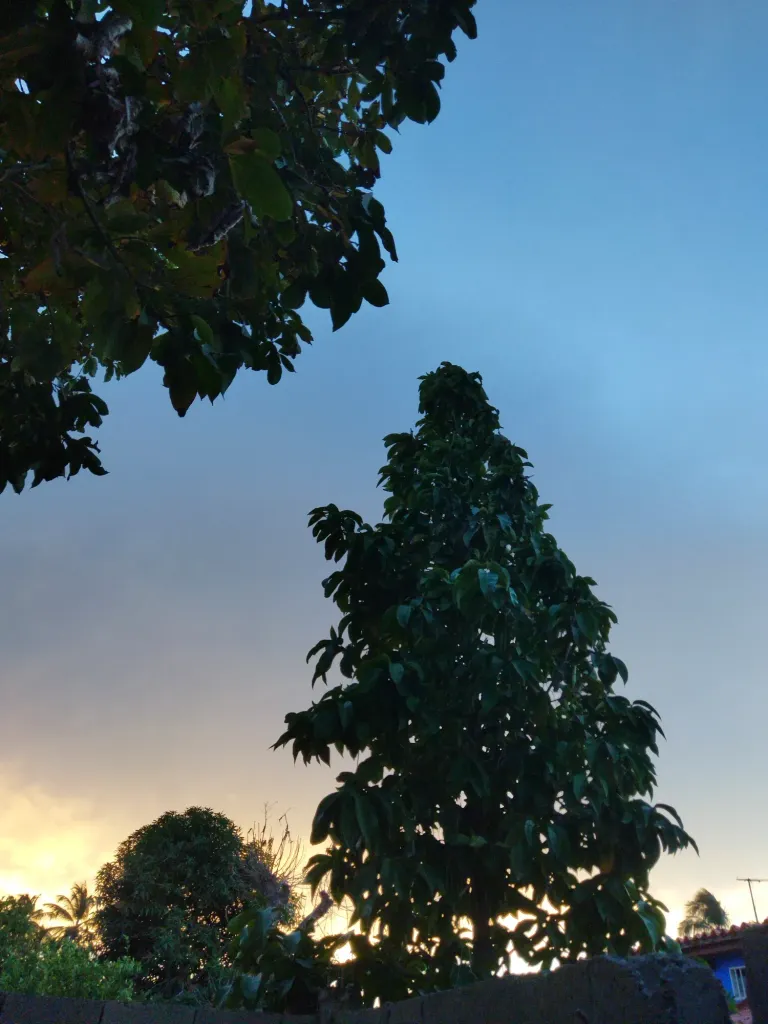 3J1FzRHFpGDiOBpE_IMG_20250822_134745.webp
