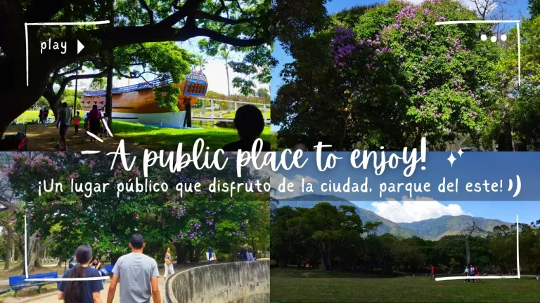 In9O8r3laMBDgUlI_Brown_Minimalist_Lifestyle_Daily_Vlog_YouTube_Thumbnail_48.webp