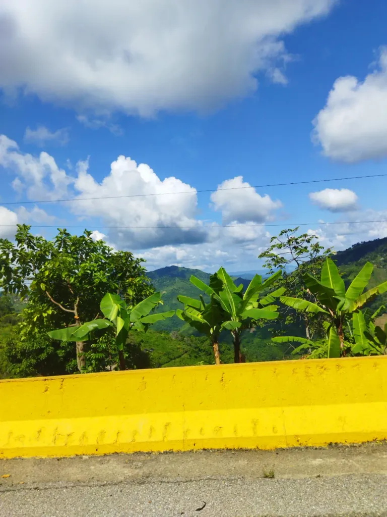 MT5d08emzL4s9CVt_Picsart_25-06-11_13-22-18-707.webp