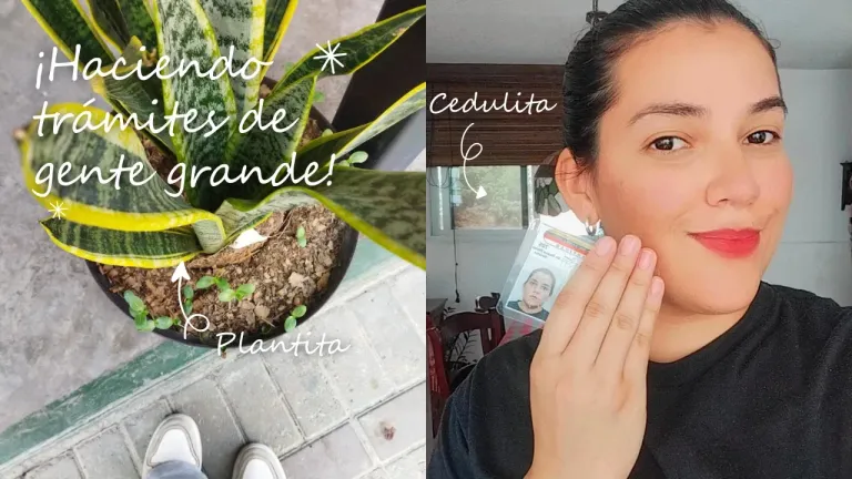 MyT2b1qUInxERK5i_Thumbnail_Youtube_Miniatura_Collage_Foto_Moderna_Blanco_2.webp