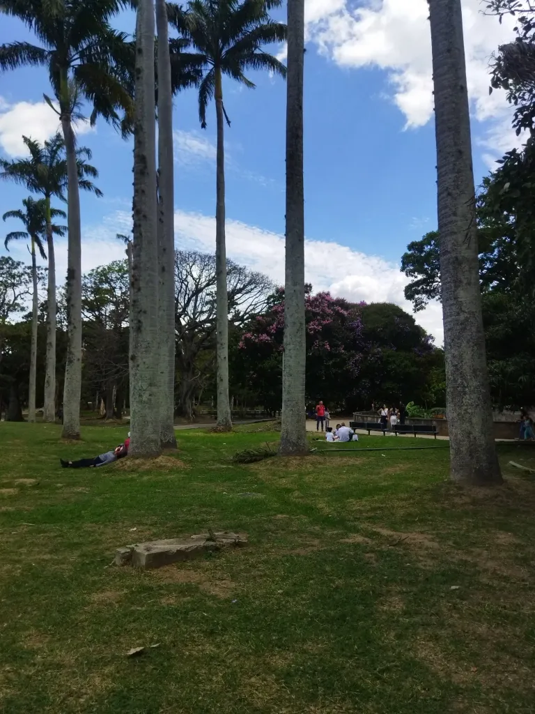 NfXsqeWYNzZs4lbl_IMG_20250515_095208.webp
