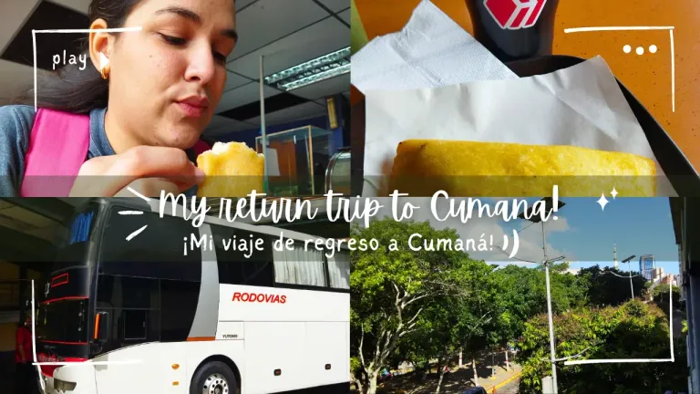 Qr0Yx499s4oQmPCK_Brown_Minimalist_Lifestyle_Daily_Vlog_YouTube_Thumbnail_72.webp
