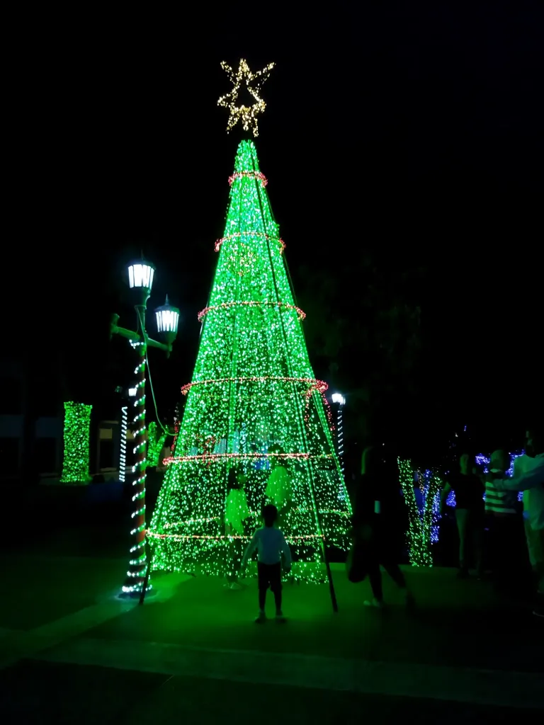 YqIT63KQhdA0NWiz_IMG_20241201_184520.webp