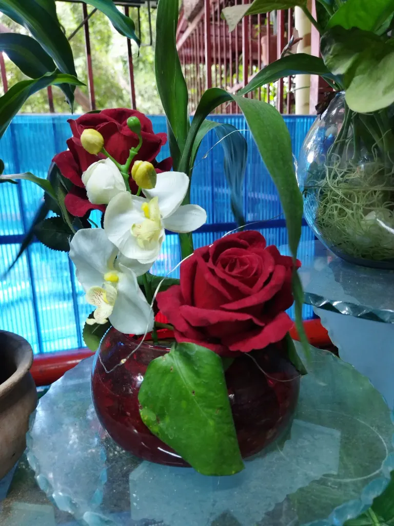 bVKNlAHvCdgsanqr_IMG_20250731_114859.webp