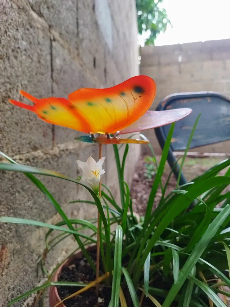 hG6jPmbyYcj6gq4X_IMG_20250826_121730.webp