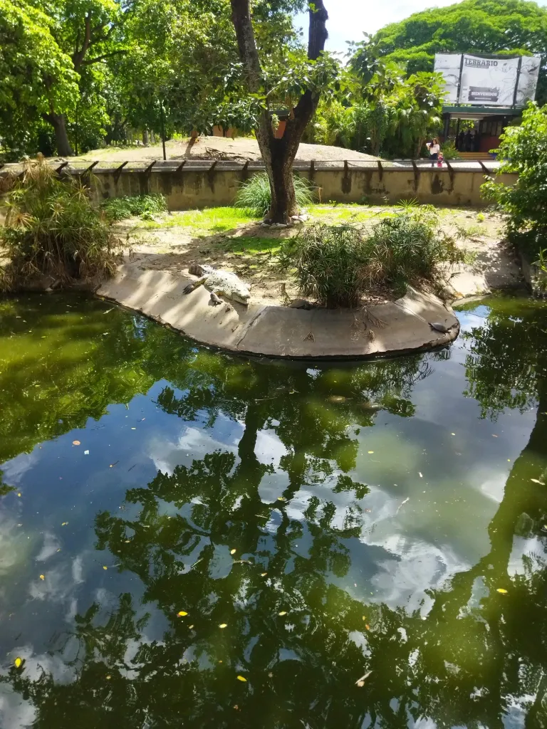 jXpFecU1pOqWNIcr_IMG_20250515_100156.webp