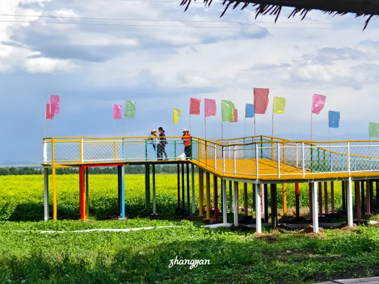PU071PWA3ys4d63T_1000038029.webp