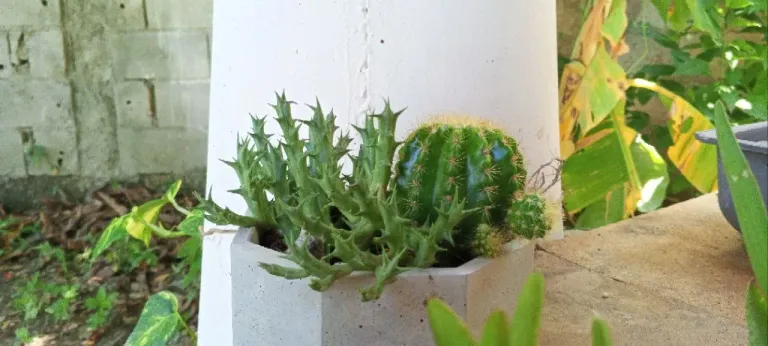 K7imqrssqWusKp3Q_photo_2024-09-22_17-38-18.webp