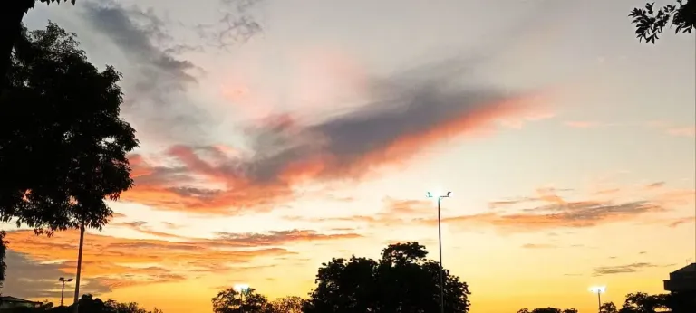 kytlxGkQQ5tWMLA4_photo_2025-07-28_17-36-27.webp