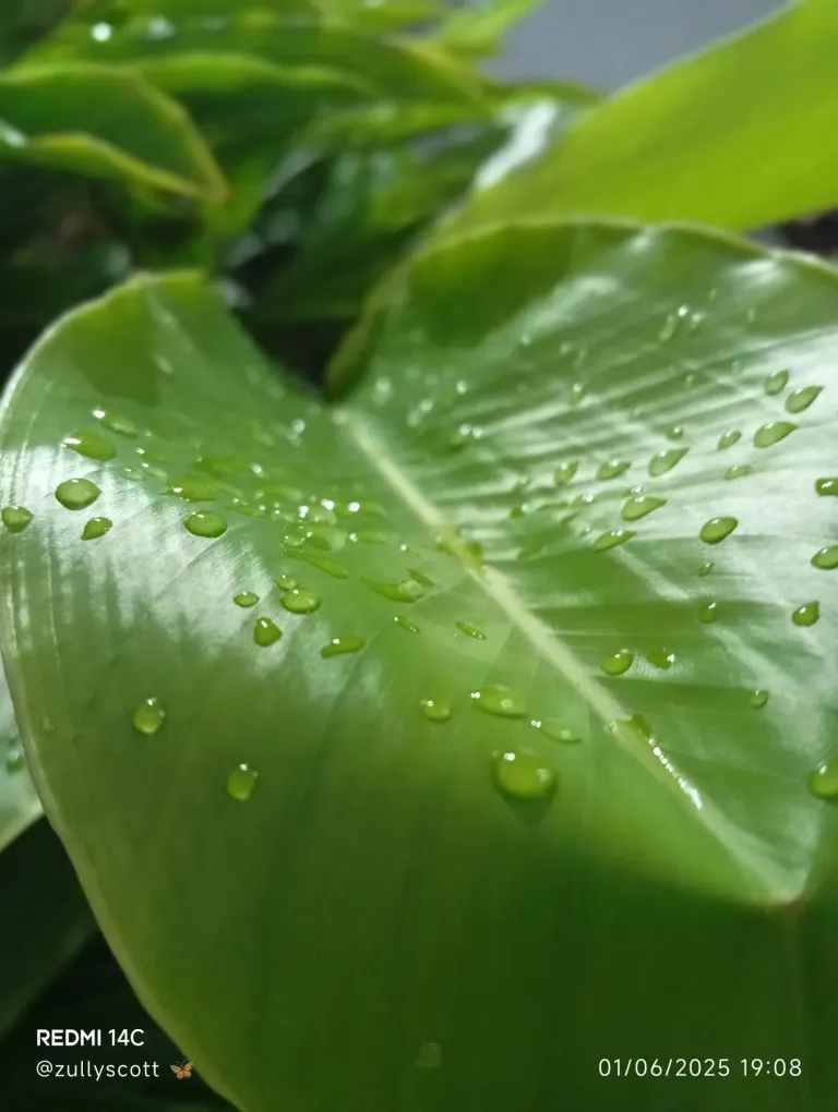 M3UZz8861uc1kXyK_1000298076.webp