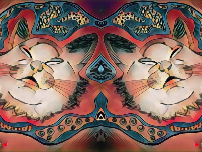 obGNjXulXz1Udp5E_1000028733.webp